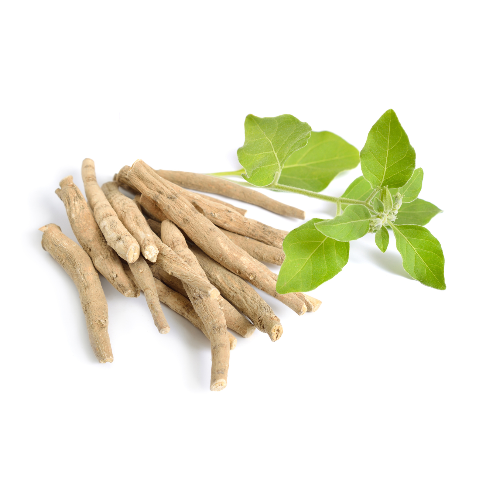 Top 6 Benefits of Ashwagandha