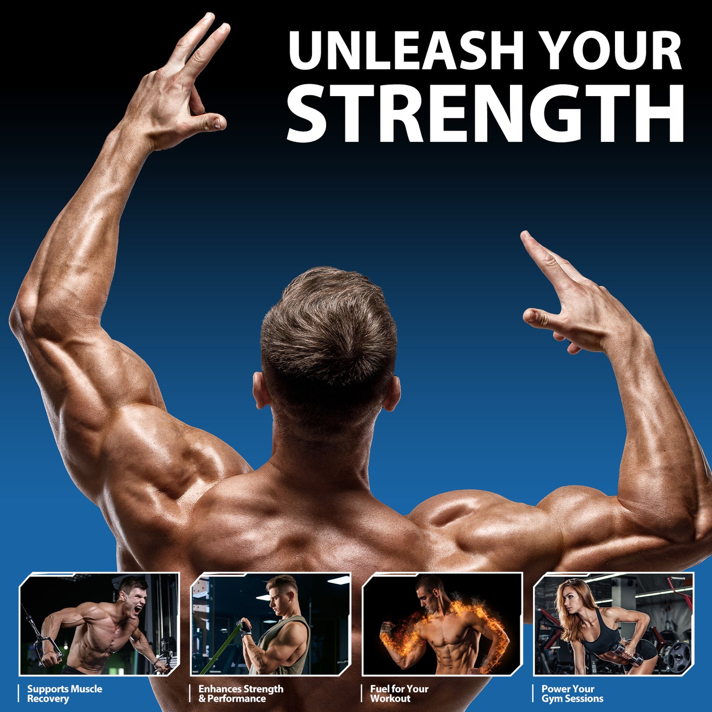 Creatine Monohydrate Gummies (No Sugar Added)