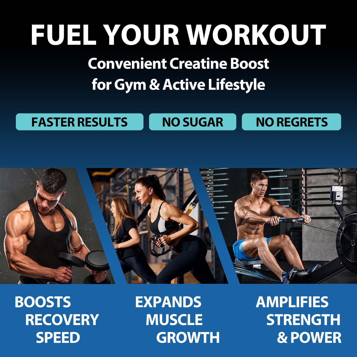 Creatine Monohydrate Gummies (No Sugar Added)