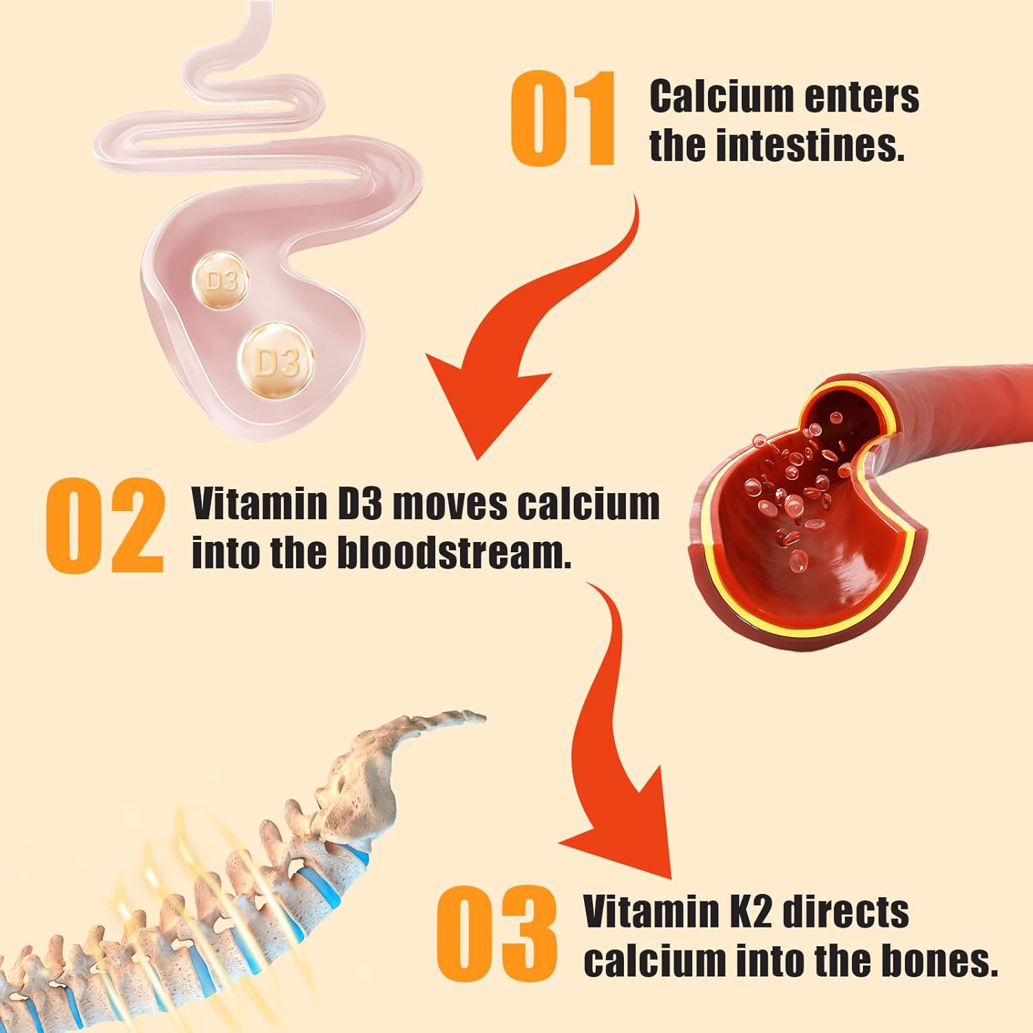Vitamin D3+K2