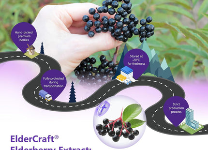 Elderberry Gummies