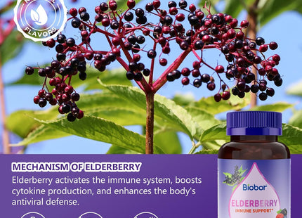 Elderberry Gummies