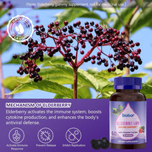 Elderberry Gummies
