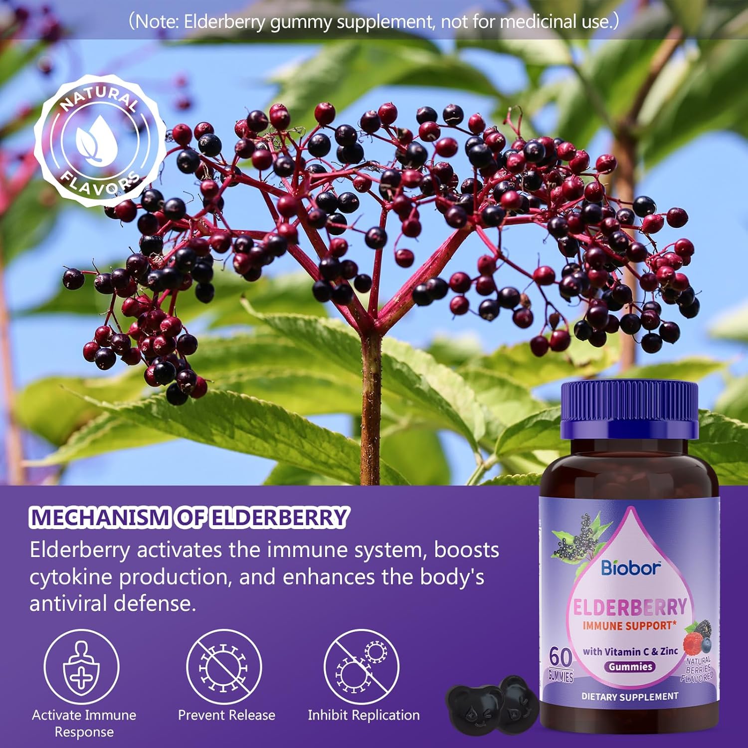 Elderberry Gummies